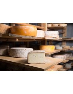 авторський сир від фермера "Шеврет"