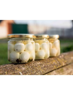 Фреш-сир з козячого молока з часником